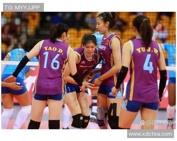 2014年中国女排激战日本队展现巾帼风采与拼搏精神的精彩对决