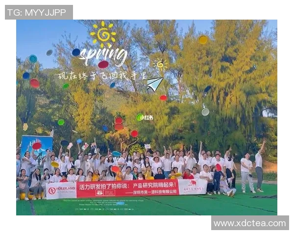 深圳飞盘队的节奏革新探索与发展之路的深度剖析与展望