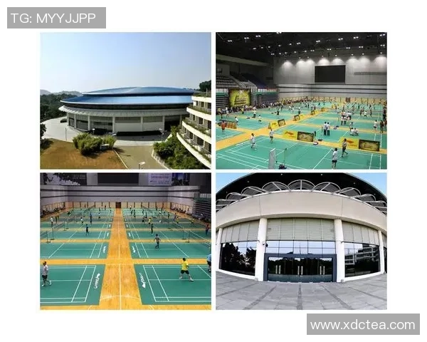 深入分析广州羽毛球队的控制打法及其战术优势与应用 深入分析广州羽毛球队的控制打法及其战术优势与应用